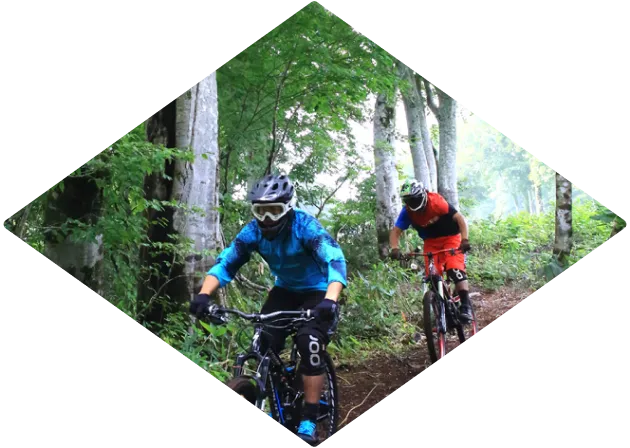 写真：文化・自然体験