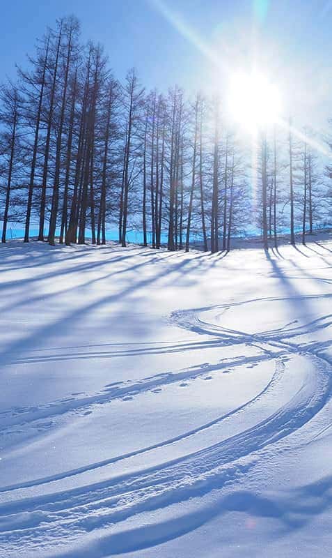 雪で覆われる季節の楽しみ方 冬旅