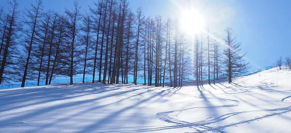 雪で覆われる季節の楽しみ方 冬旅