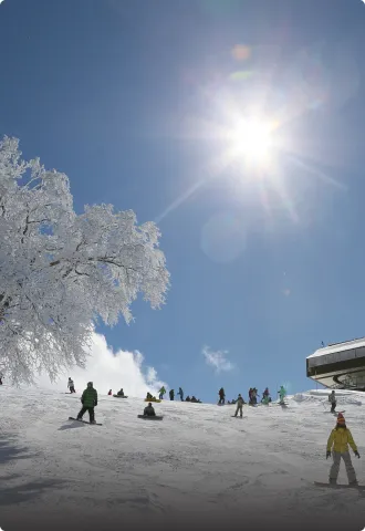 イメージ：冬旅